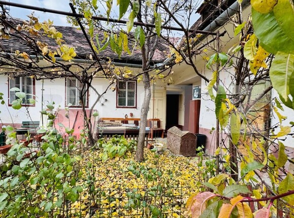 Casa de vânzare 2 camere Terezian - 180645CV | BLITZ Sibiu | Poza13