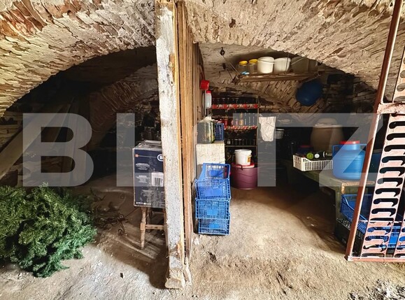 Casa de vânzare 2 camere Terezian - 180645CV | BLITZ Sibiu | Poza14