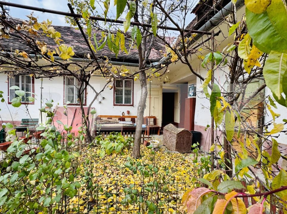 Casa de vânzare 3 camere Terezian - 180645CV | BLITZ Sibiu | Poza13