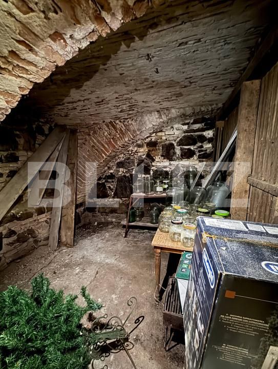 Casa de vânzare 3 camere Terezian - 180645CV | BLITZ Sibiu | Poza16