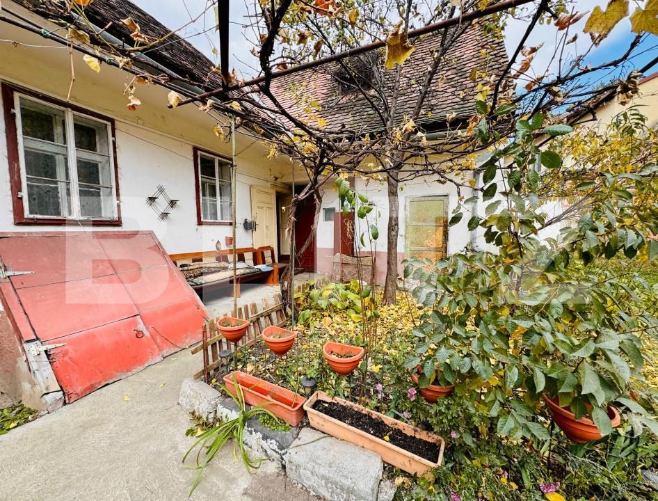 Casa de vânzare 3 camere Terezian - 180645CV | BLITZ Sibiu | Poza12