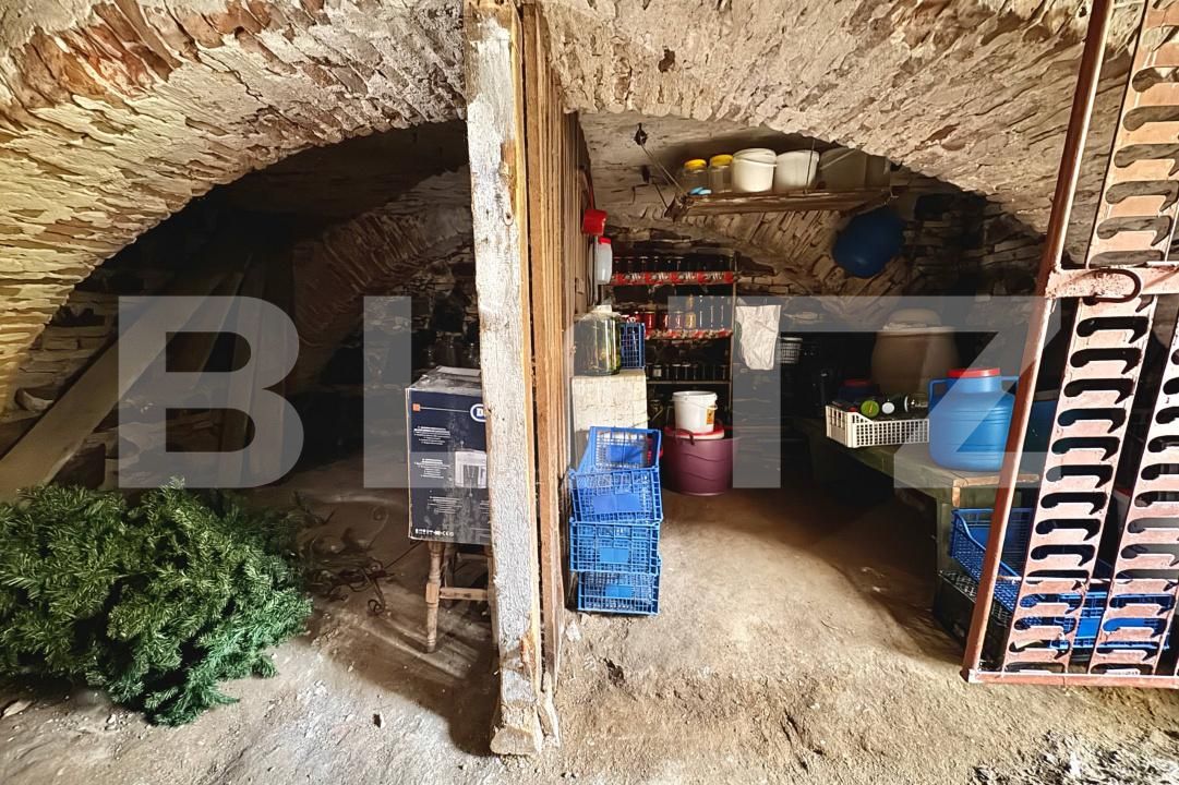 Casa de vânzare 2 camere Terezian - 180645CV | BLITZ Sibiu | Poza14