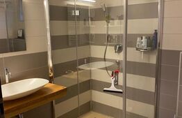 Casă cu 2 camere, curte proprie, aproape de Parcul Sub Arini – Sibiu