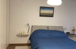 Casă cu 2 camere, curte proprie, aproape de Parcul Sub Arini – Sibiu