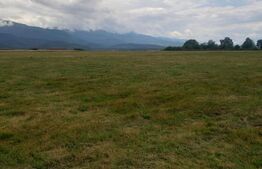 Teren extravilan 8600 mp, Cârțișoara- Coasta lui Nache