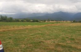 Teren extravilan 8600 mp, Cârțișoara- Coasta lui Nache