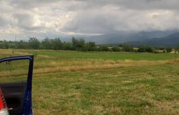 Teren extravilan 8600 mp, Cârțișoara- Coasta lui Nache