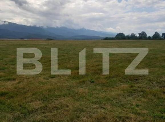 Teren de vânzare Cartisoara - 182749TV | BLITZ Sibiu | Poza4