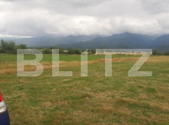 Teren de vânzare Cartisoara - 182749TV | BLITZ Sibiu | Poza3