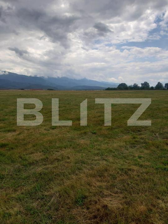 Teren de vânzare Cartisoara - 182749TV | BLITZ Sibiu | Poza4