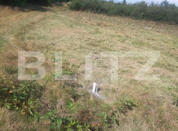 Teren de vânzare Cartisoara - 182753TV | BLITZ Sibiu | Poza1