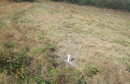 Teren extravilan 3300 mp, Cârțișoara- Set