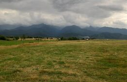 Teren extravilan 900 mp, Cârțișoara- Sindri