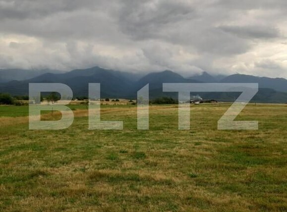 Teren de vânzare Cartisoara - 182757TV | BLITZ Sibiu | Poza1