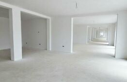 Spațiu comercial de închiriat în Șelimbăr – Doamna Stanca