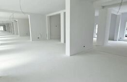 Spațiu comercial de închiriat în Șelimbăr – Doamna Stanca