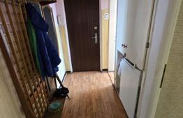 Apartament cu 2 camere, 45 mp - Zona Terezian