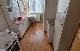 Apartament cu 2 camere, 45 mp - Zona Terezian