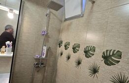 Apartament cu 2 camere, 45 mp - Zona Terezian