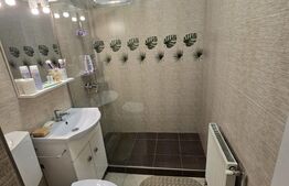 Apartament cu 2 camere, 45 mp - Zona Terezian