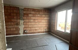 Casa cu 4 camere, curte amenajata - Sura Mica