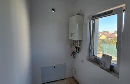 Casa cu 4 camere, curte amenajata - Sura Mica