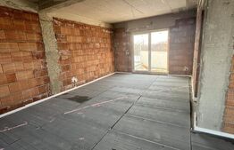 Casa cu 4 camere, curte amenajata - Sura Mica