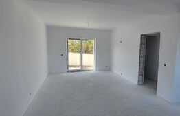 Casa cu 4 camere, curte amenajata - Sura Mica