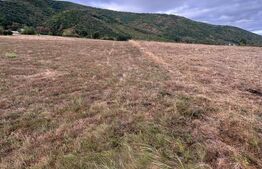 Teren Extravilan  1400 Mp  Comuna Orlat