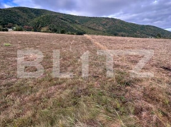 Teren de vânzare Orlat - 206684TV | BLITZ Sibiu | Poza12