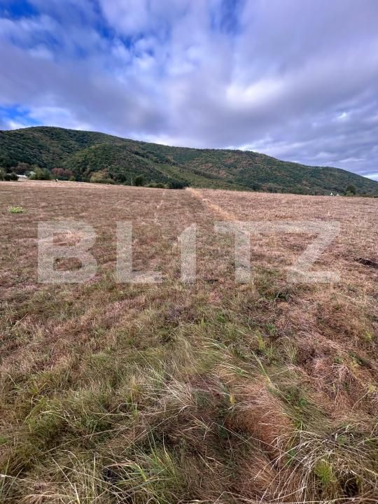 Teren de vânzare Orlat - 206684TV | BLITZ Sibiu | Poza12