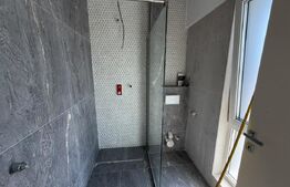 Casă individuală de lux cu piscină și teren generos de 1.190 mp în Cisnădie 