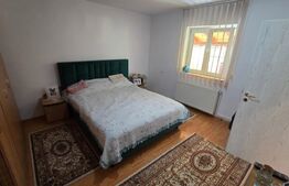  Casă + Atelier Mecanic AUTORIZAT (Afacere la cheie) în Sibiu 