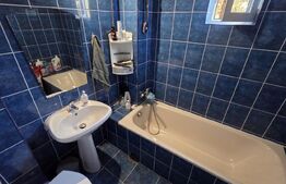  Casă + Atelier Mecanic AUTORIZAT (Afacere la cheie) în Sibiu 