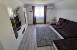  Casă + Atelier Mecanic AUTORIZAT (Afacere la cheie) în Sibiu 