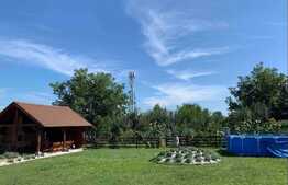 Casa deosebita de vanzare in Sibiu pretabila pentru pensiune sau sediu de firma