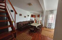 Apartament pe 2 nivele, zona Vasile Aron
