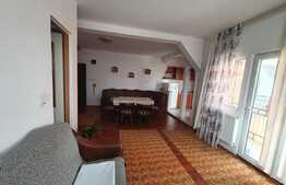 Apartament pe 2 nivele, zona Vasile Aron