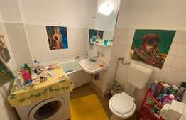 Apartament cu 4 camere, 76 mp, zona Vasile Aron