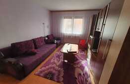 Apartament 2 camere, 40 mp, zona Vasile Aron