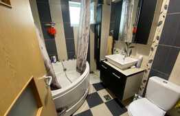 Apartament spatios cu 2 camere Calea Cisnadiei 52 mp