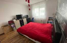 Apartament spatios cu 2 camere Calea Cisnadiei 52 mp