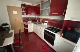 Apartament spatios cu 2 camere Calea Cisnadiei 52 mp