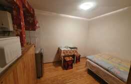 Apartament 3 camere, 60mp, si pod de 80mp, la casa, zona centrala Sibiu