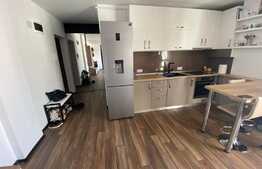 Apartament 3 camere Doamna Stanca 54 mp