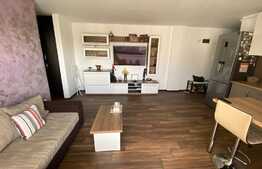 Apartament 3 camere Doamna Stanca 54 mp