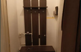 Apartament cu o camera de vanzare in Terezian