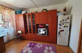 De vanzare, garsoniera cu suprafata de 23mp utili, zona Lazaret, in apropiere de Compa