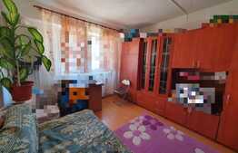 De vanzare, garsoniera cu suprafata de 23mp utili, zona Lazaret, in apropiere de Compa