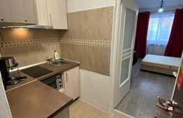 Garsoniera luminoasa si calduroasa, modern utilata si mobilata, 23 mp, Vasile Aaron